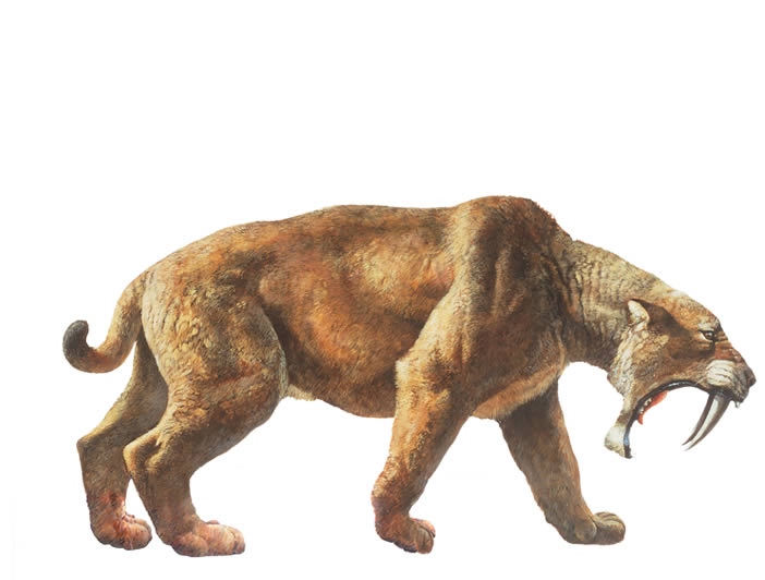 02-la-brea-tar-pits-paige-mueseum-sabertooth.jpg
