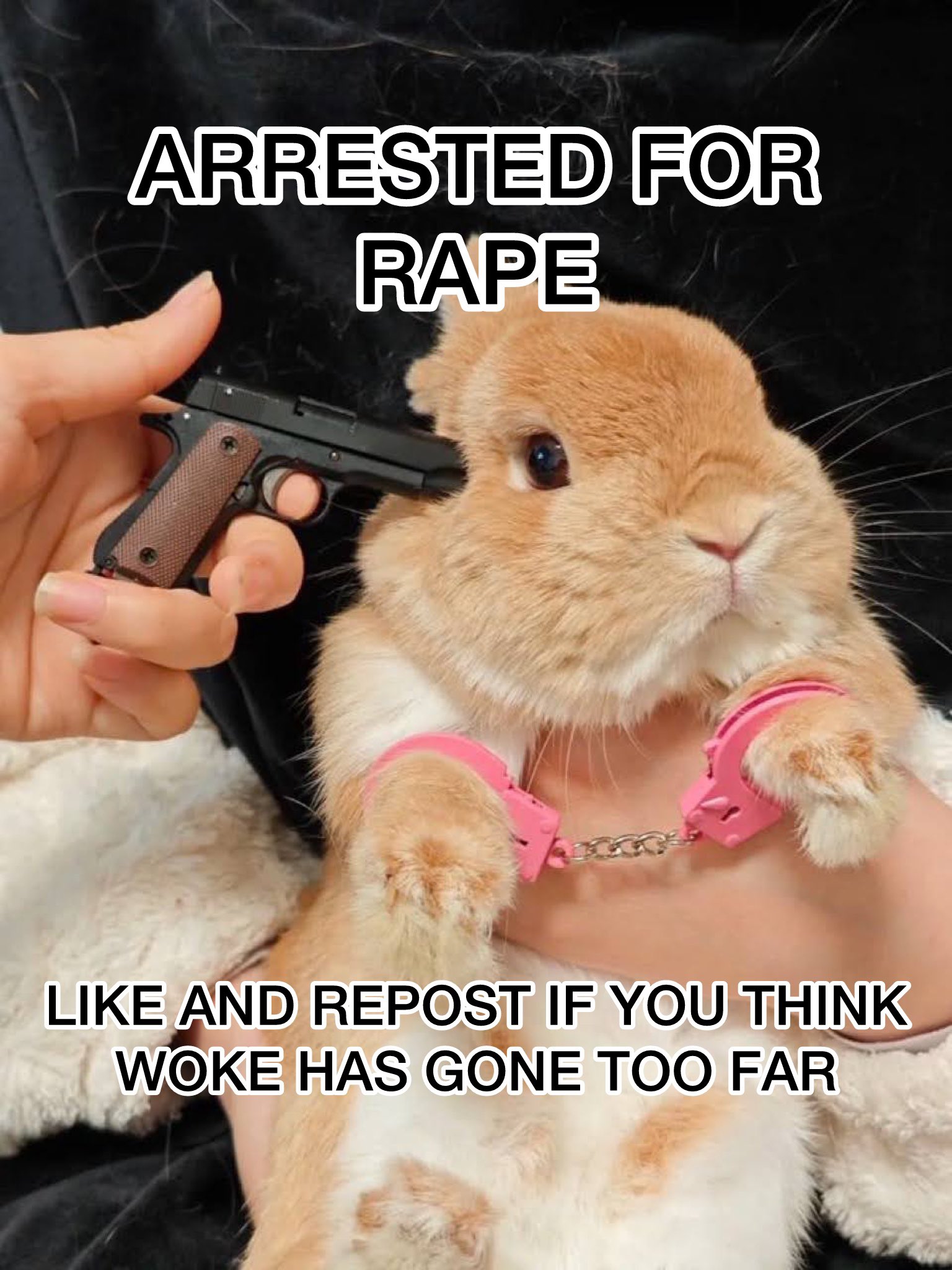 1000001498.jpg