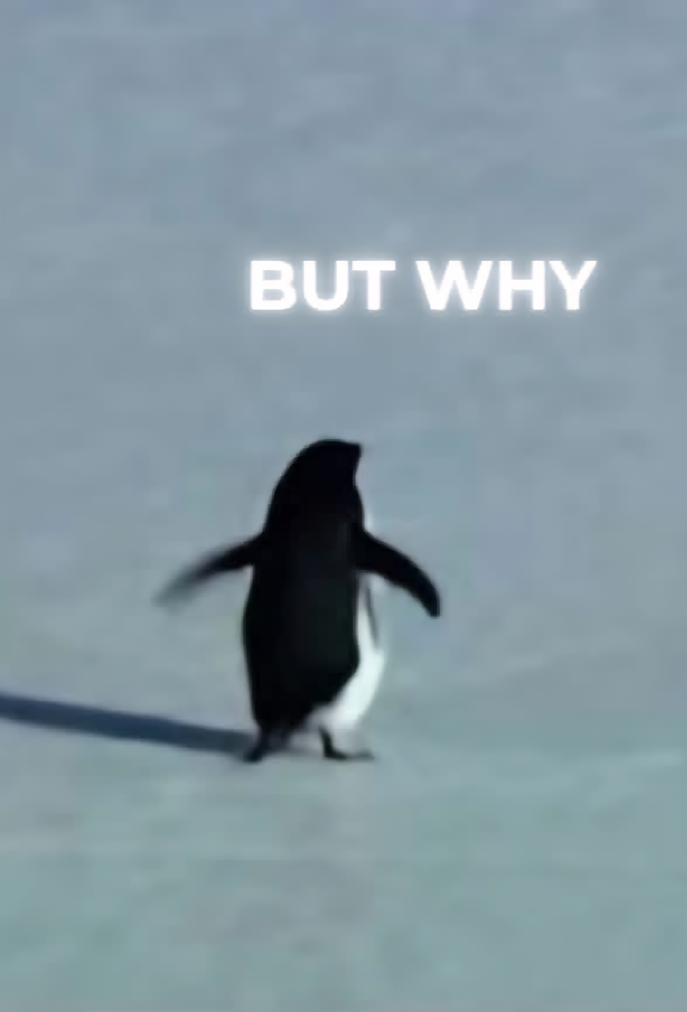 1000004717.jpg