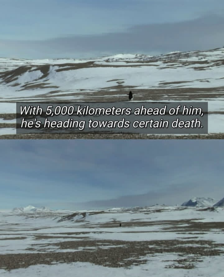 1000005132.jpg