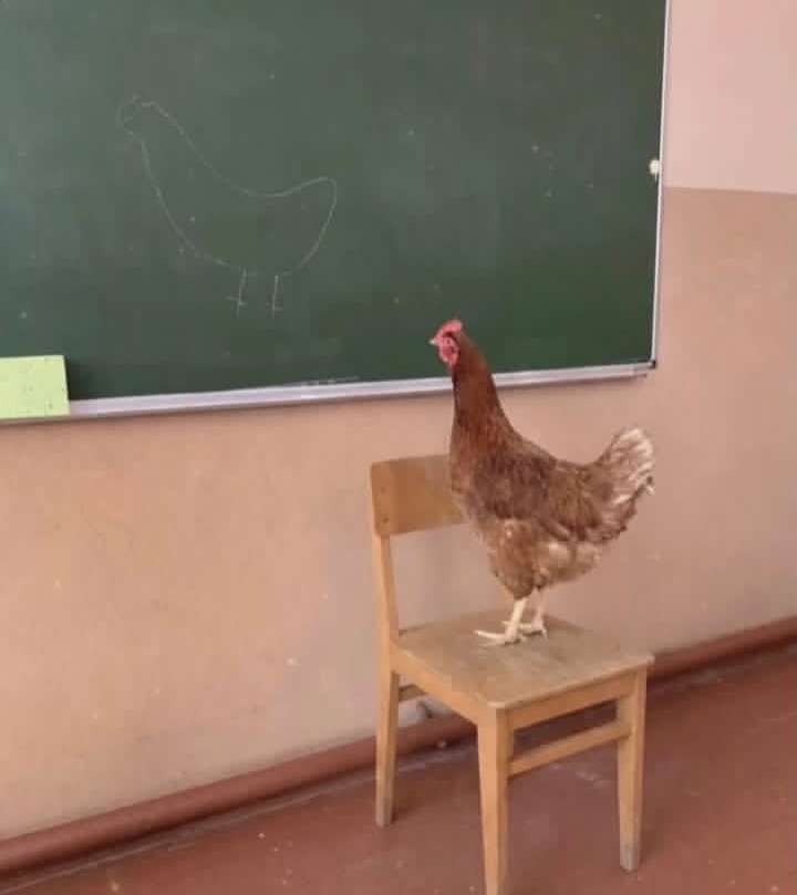 1000006294.jpg