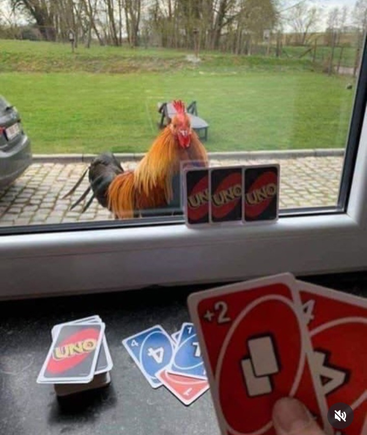 1000006295.jpg