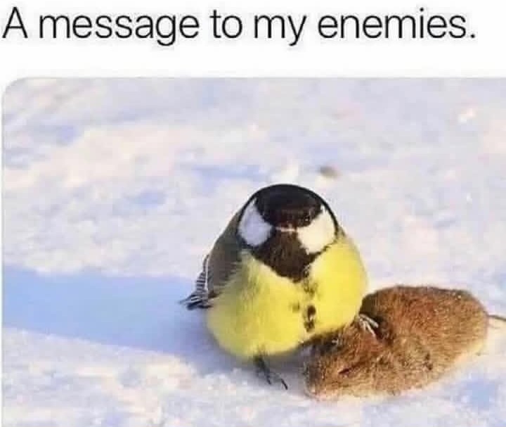 1000006349.jpg