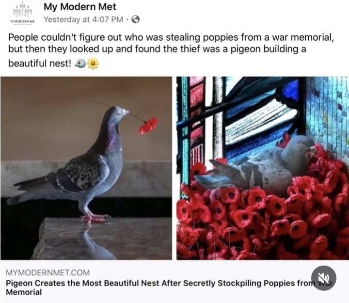 1000006848.jpg