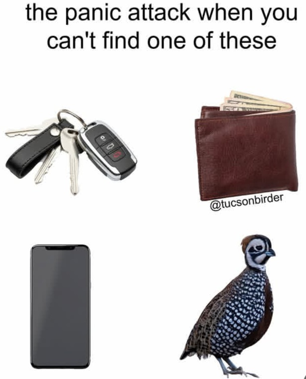 1000007044.jpg