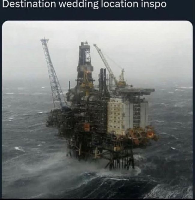 1000007176.jpg