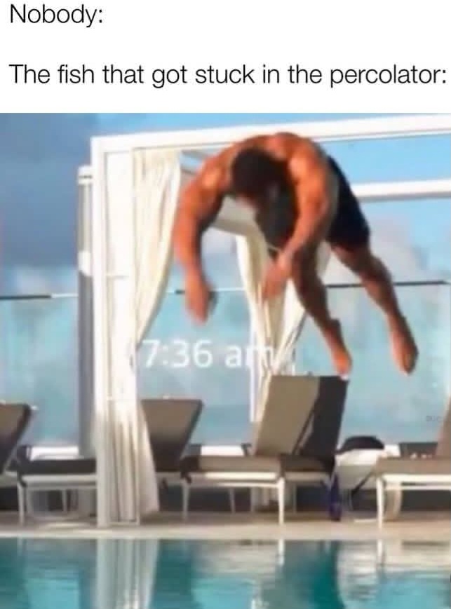 1000007326.jpg