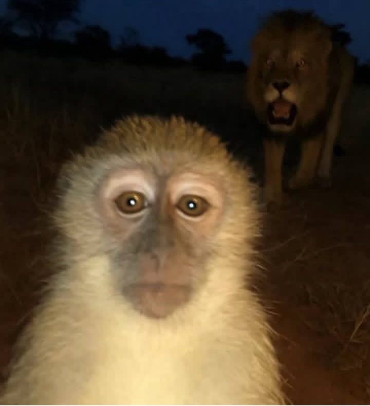 1000007337.jpg