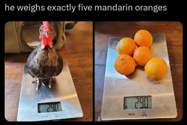 1000007451.jpg