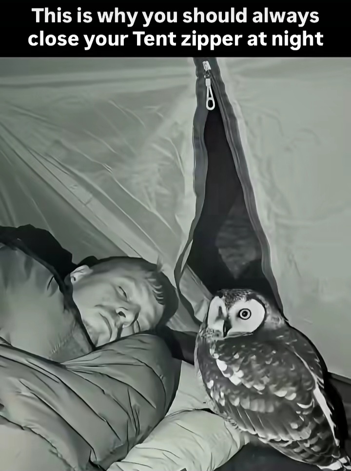 1000007910.jpg