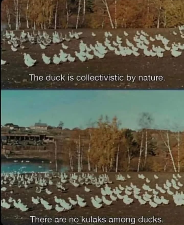 1000008027.jpg