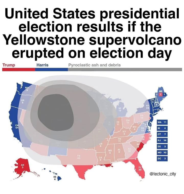 1000008241.jpg