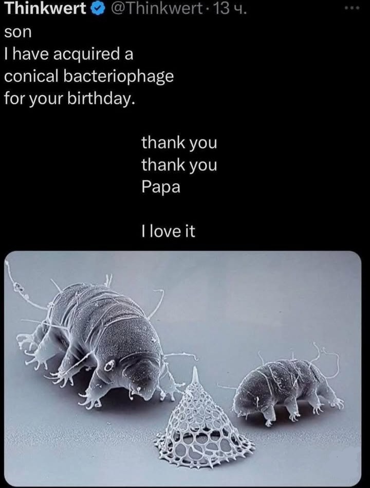 1000008328.jpg