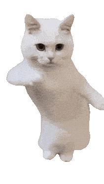 1000011528.gif