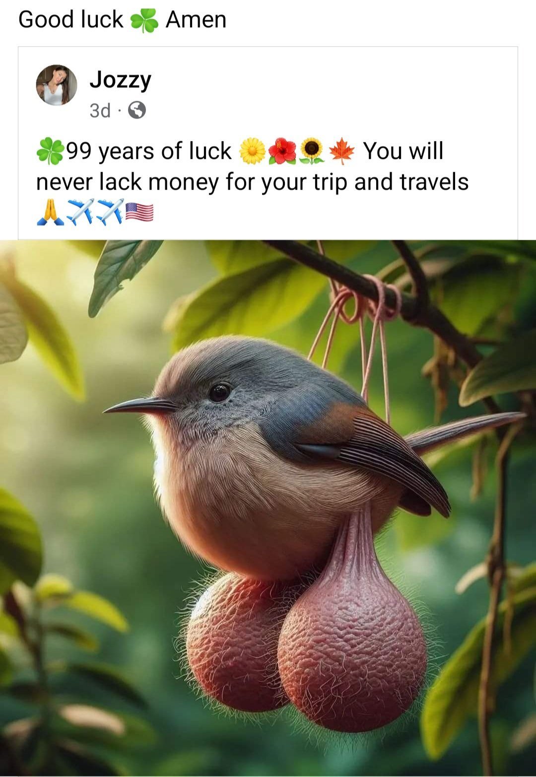 1000015727.jpg
