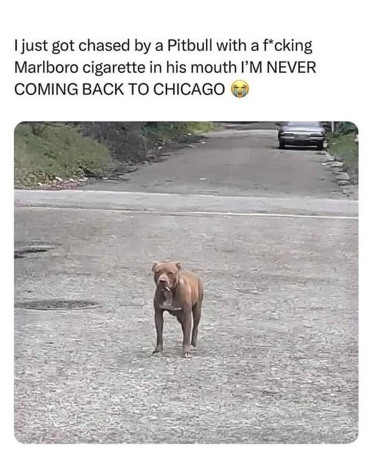 1000019325.png