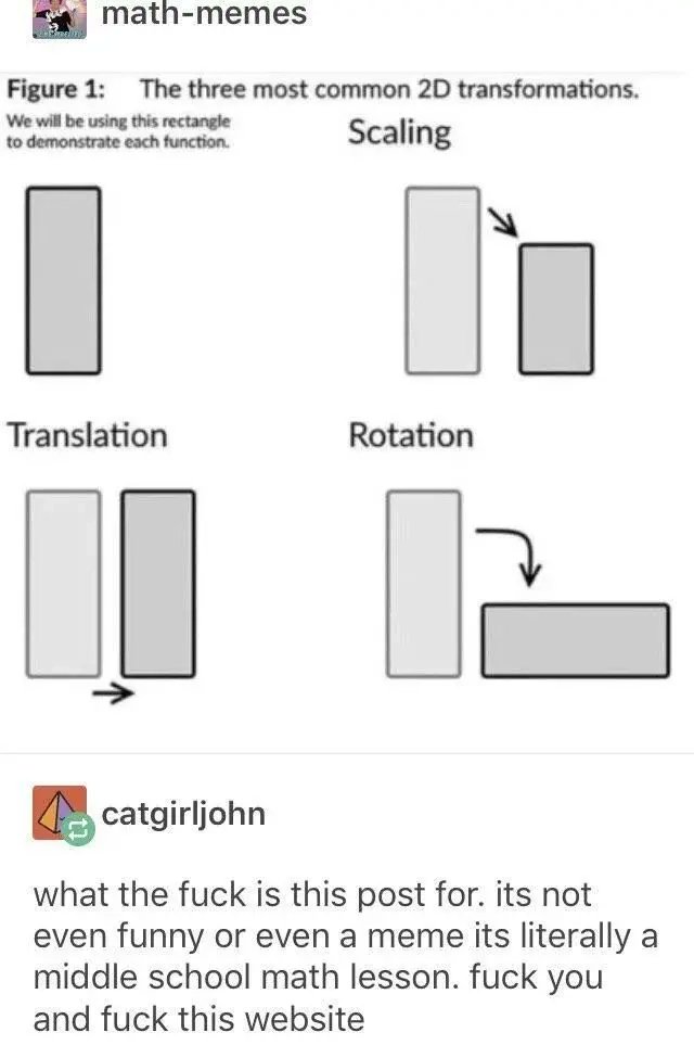 1000020561.jpg