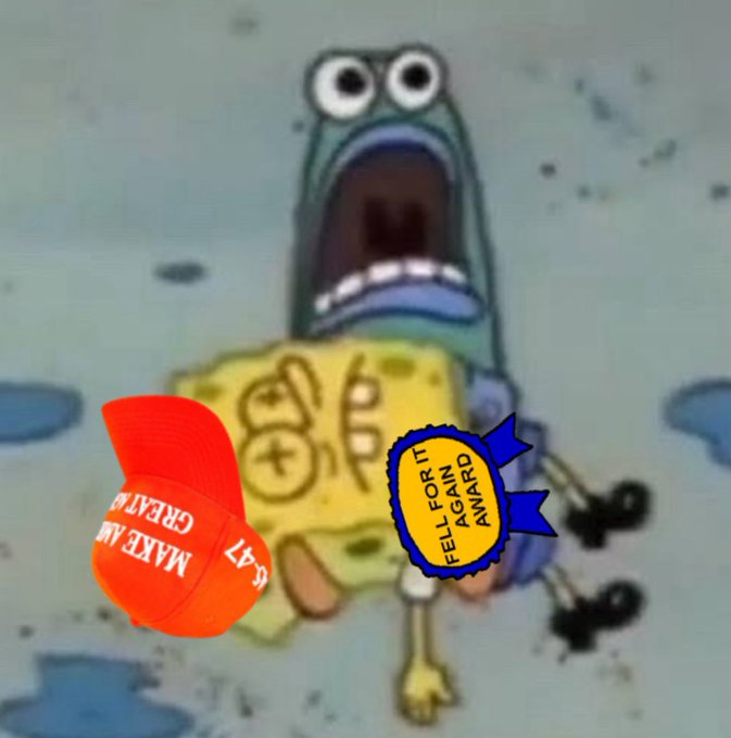 1000029387.jpg