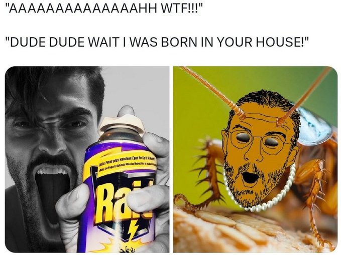 1000030250.jpg