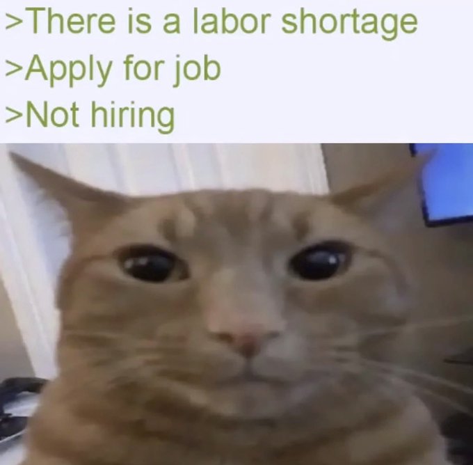 1000033168.jpg
