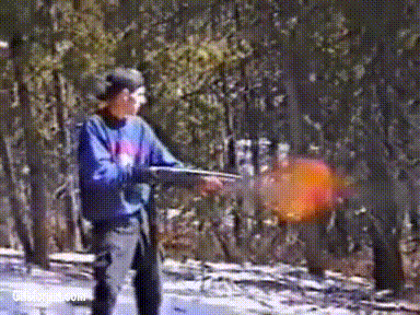 1000042070.gif