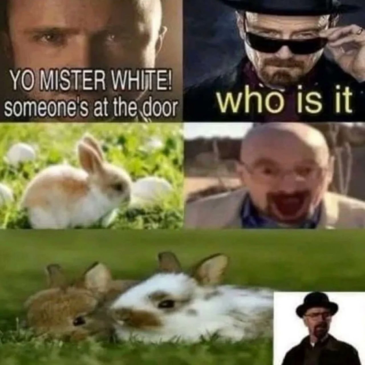 1000080840.jpg