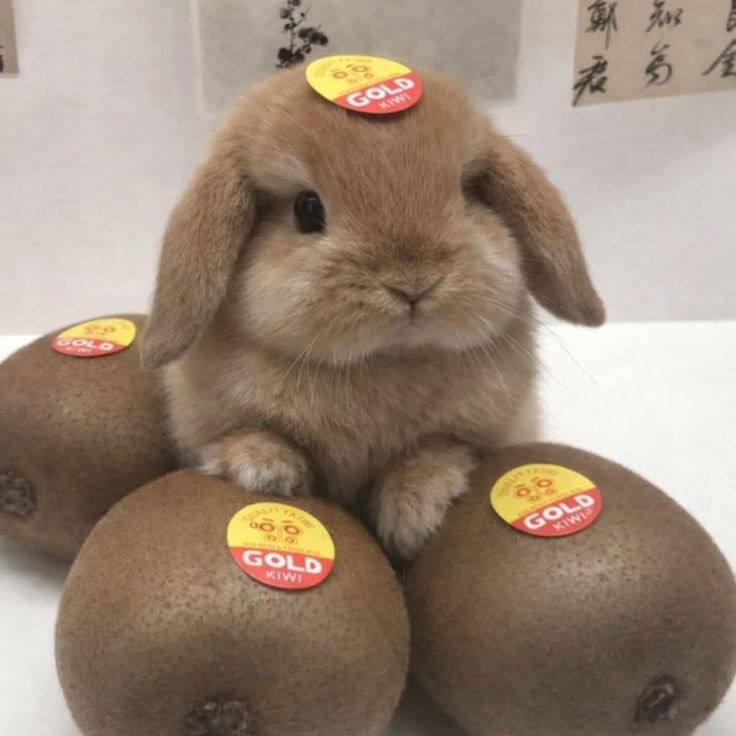 1000081531.jpg