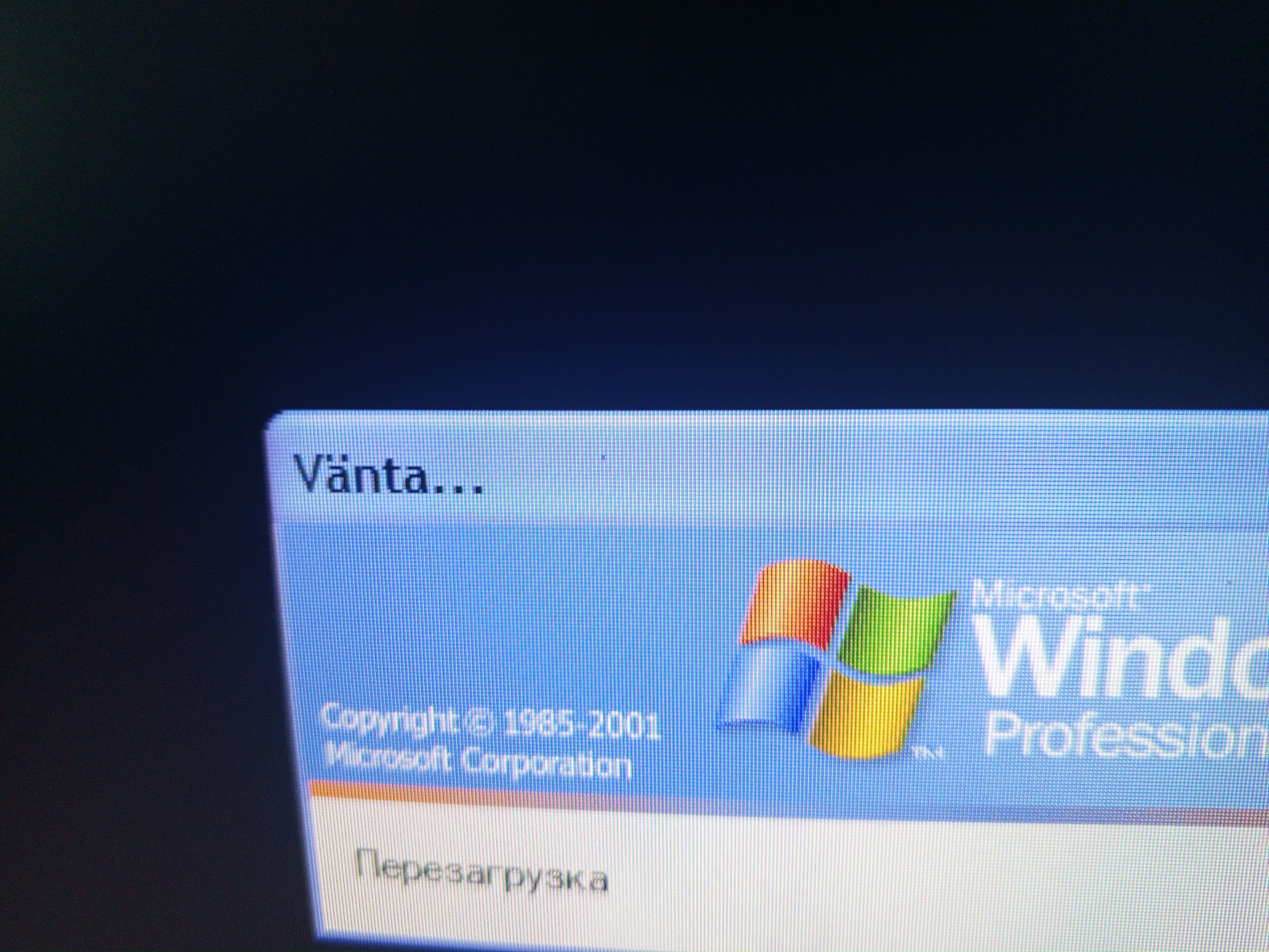 1000082166.jpg