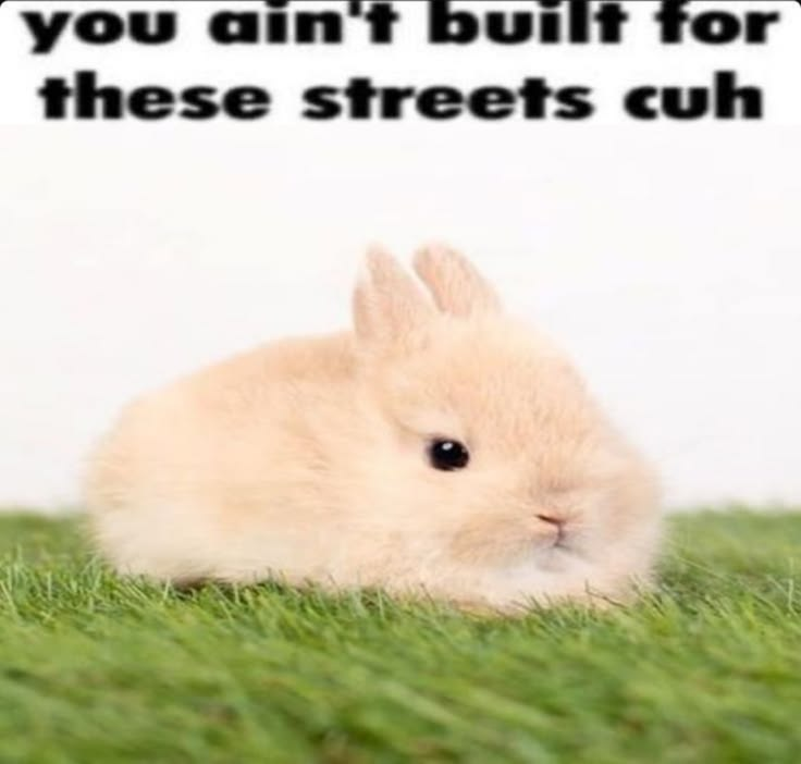 1000082305.png