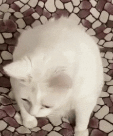 1000093742.gif