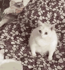 1000123410.gif