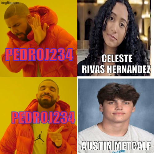 I'm biased against Celeste Rivas Hernandez over Austin Metcalf 