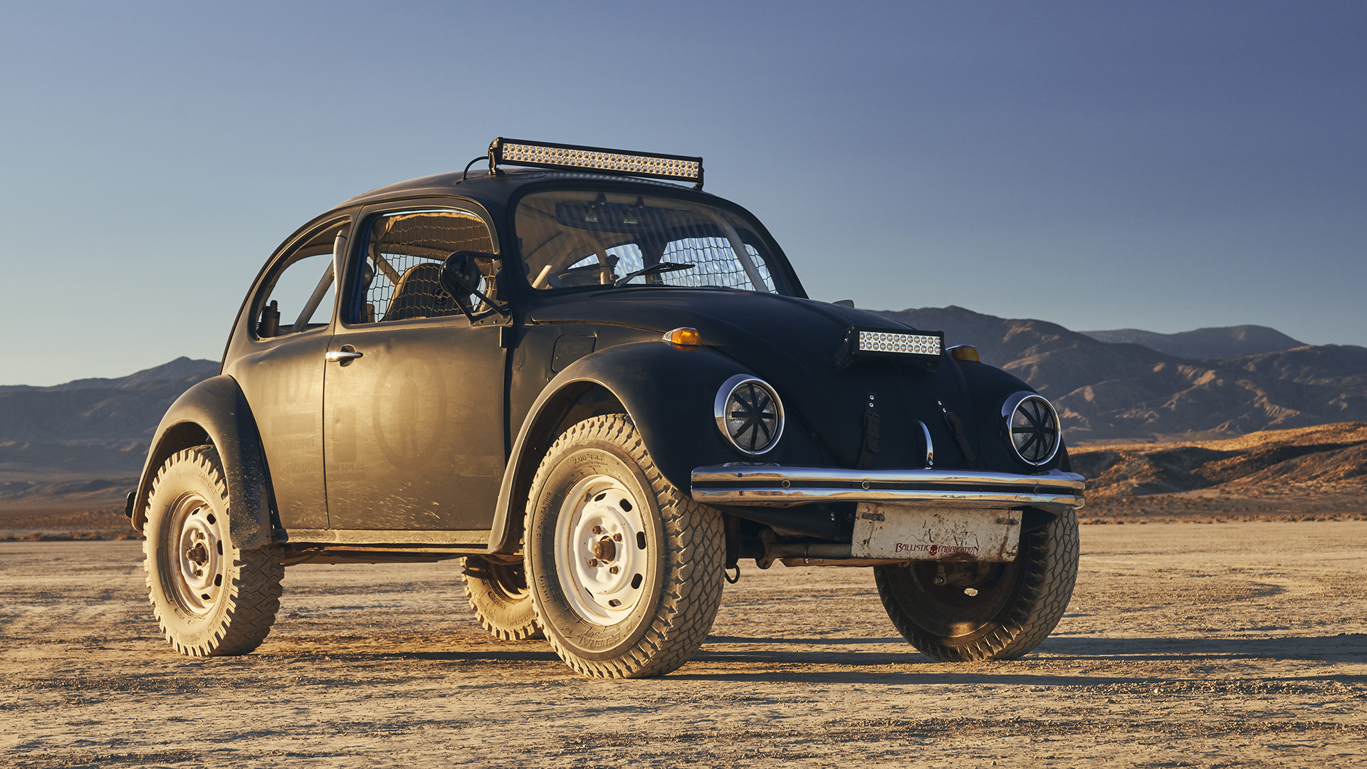 15164-1969Class11Beetle.jpg