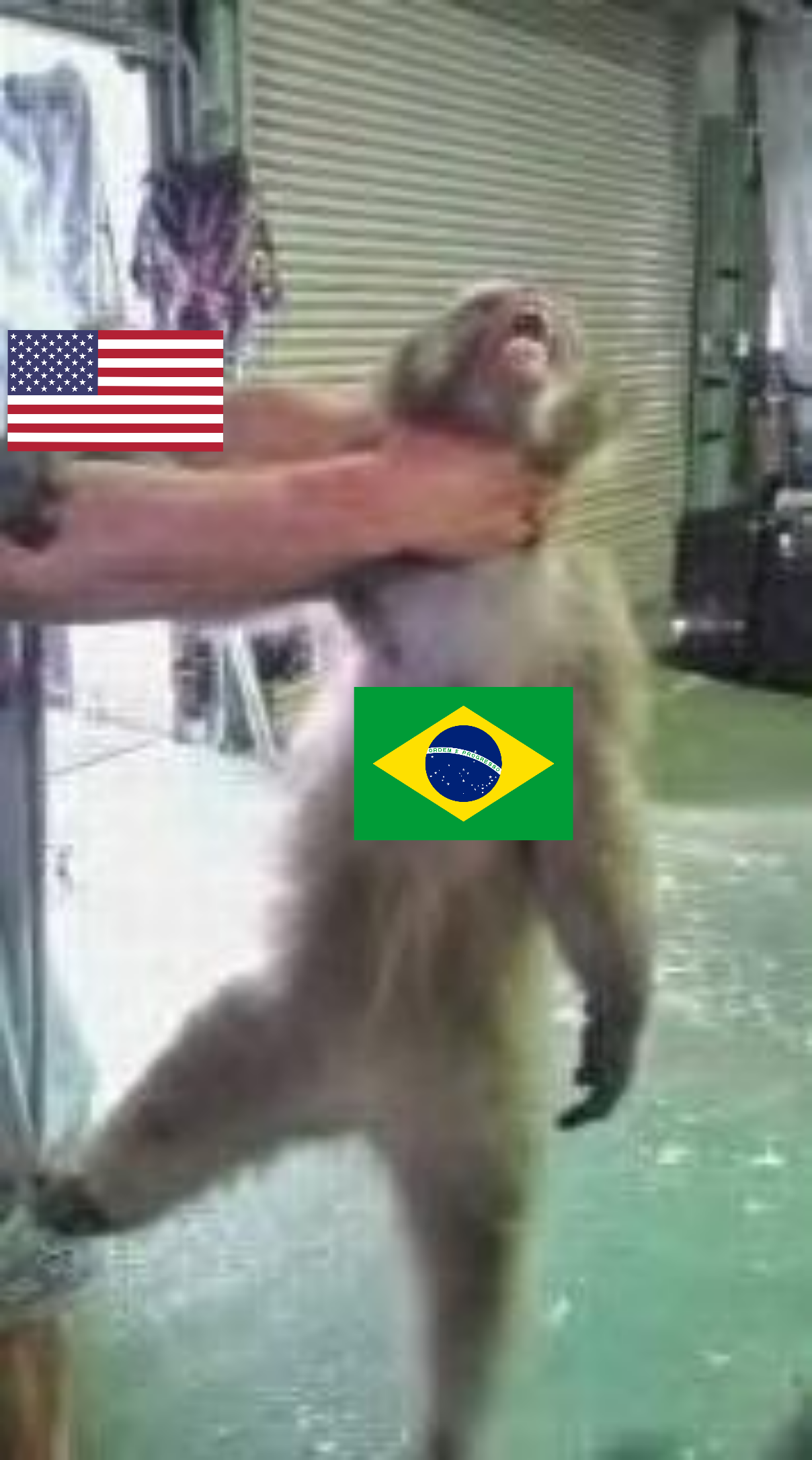 1661274278939786 (1).png