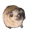 1675937408791127.gif
