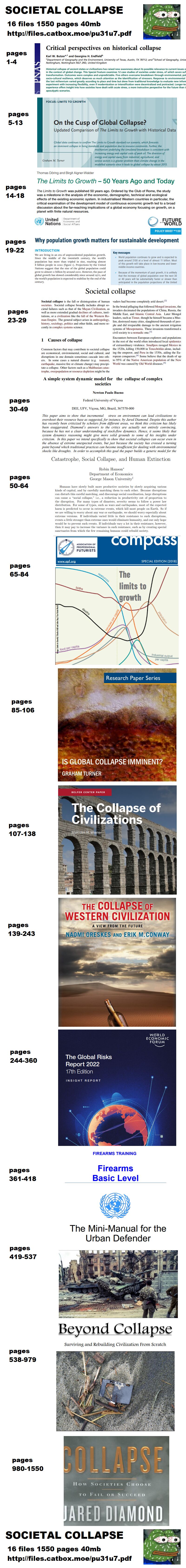 1717524659405451 collapse1.jpg