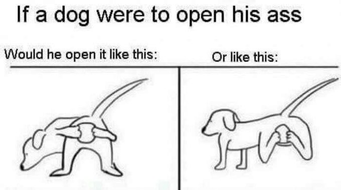 1751039529210.png