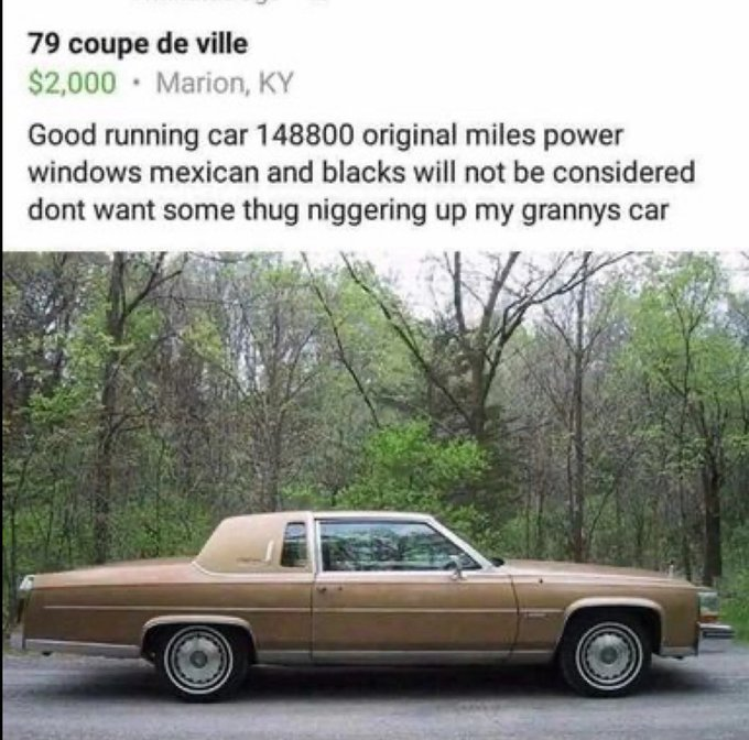 1756351206439.png