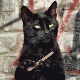 1774216206245699.gif