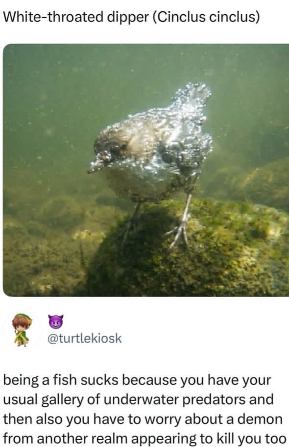 1778006789390.png