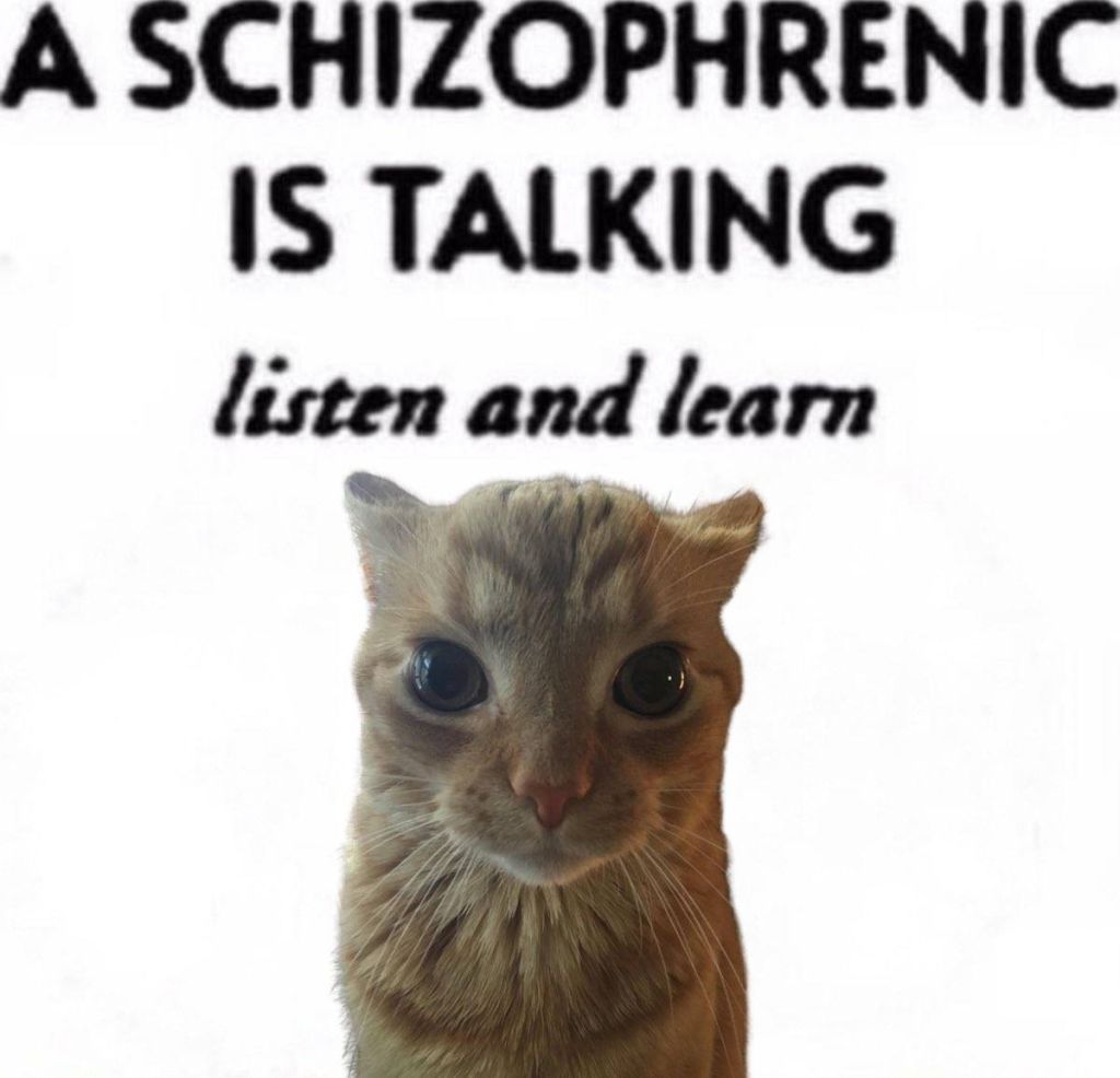 1779357355193098.jpg
