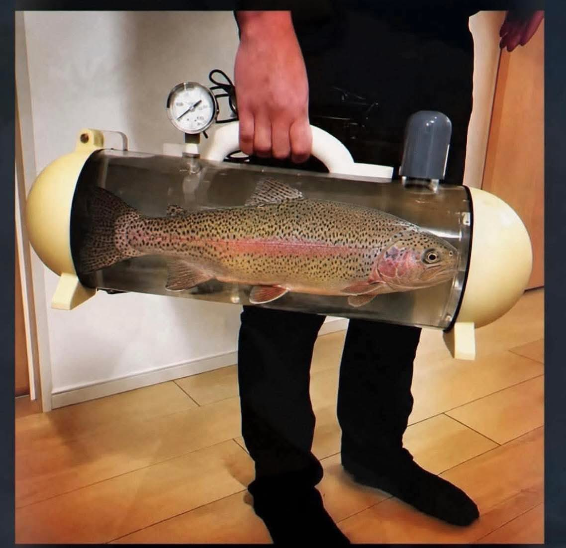 1780364053442.png