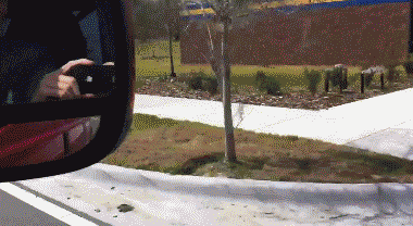 1780530231875.gif