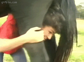 1780530448436.gif