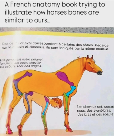 1781999824923.png