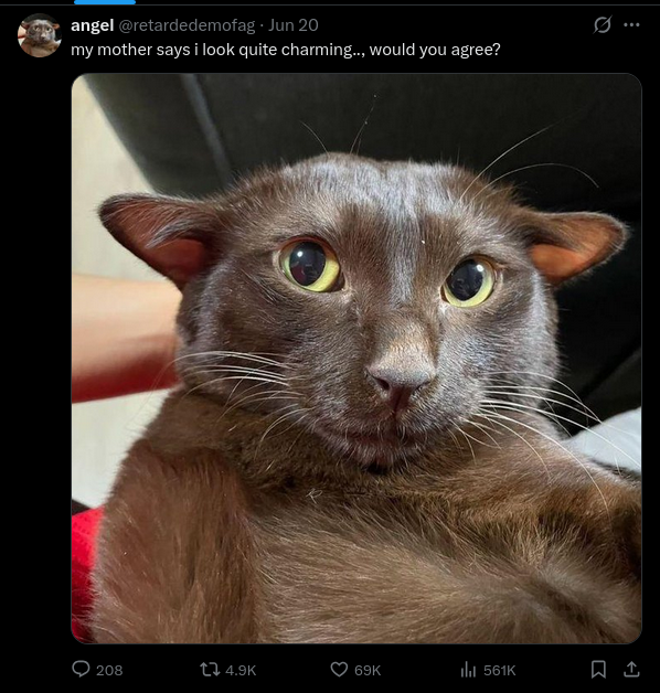 1782108560394.png