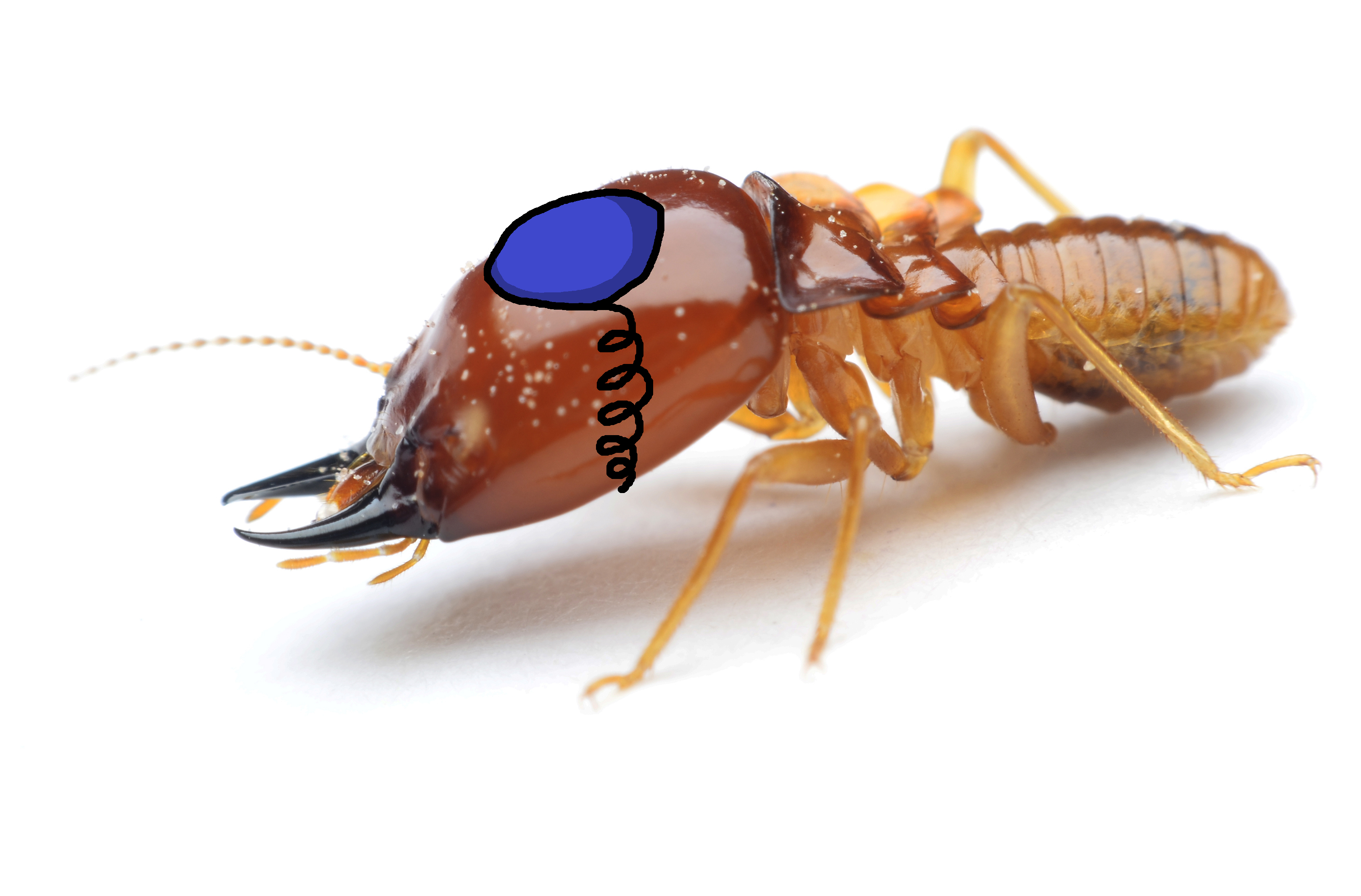 1785053879808.png
