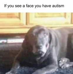 1785287961614656.jpg