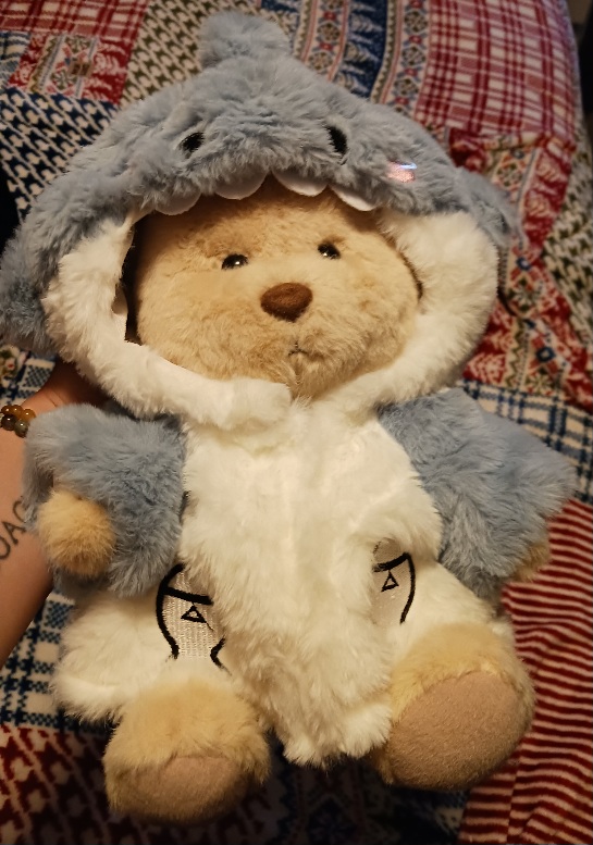 20250429_193311.jpg