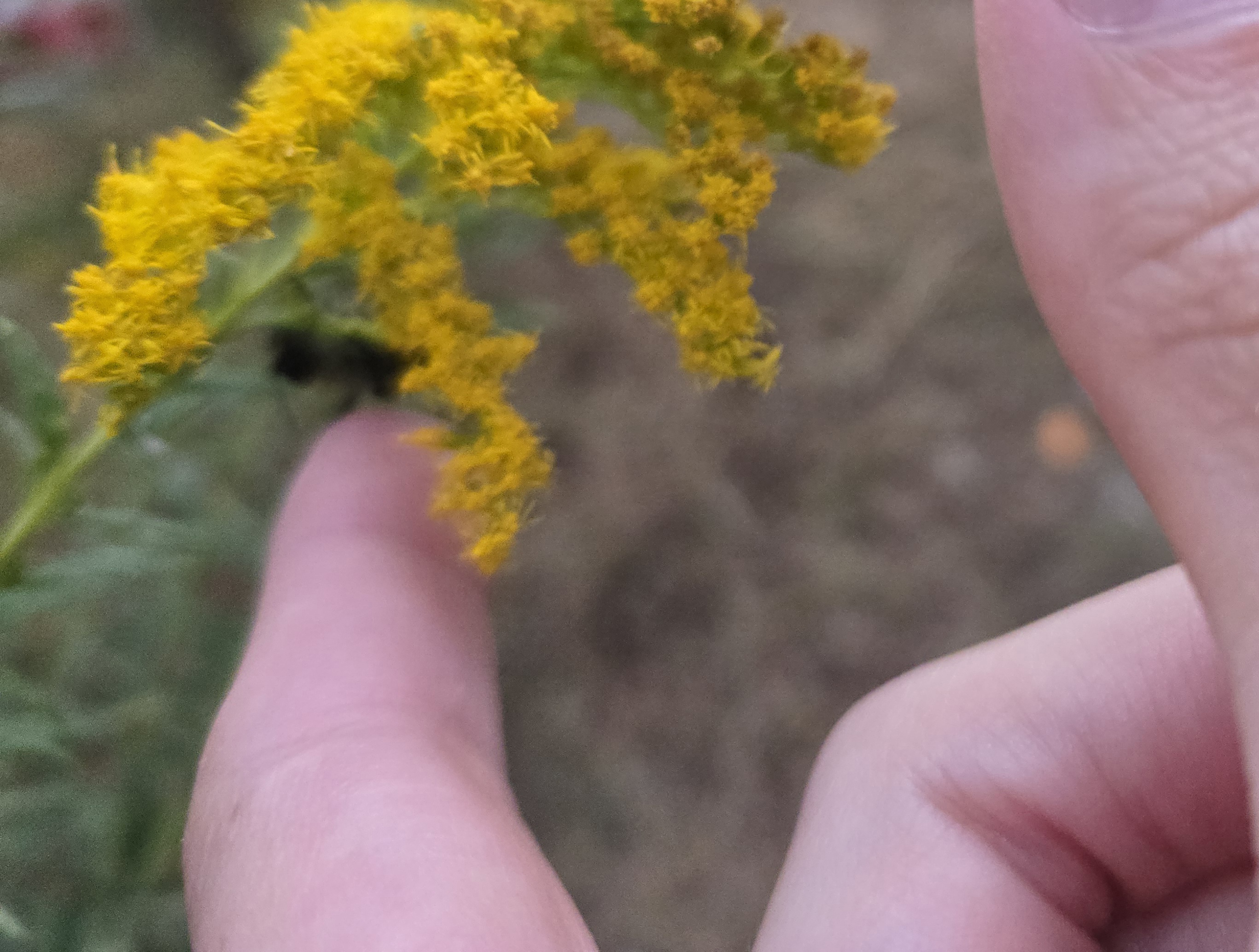 20251016_071636.jpg